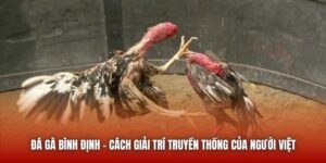 Đá Gà Bình Định - Cách Giải Trí Truyền Thống Của Người Việt